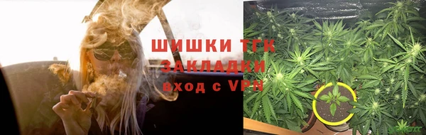 трава Аркадак
