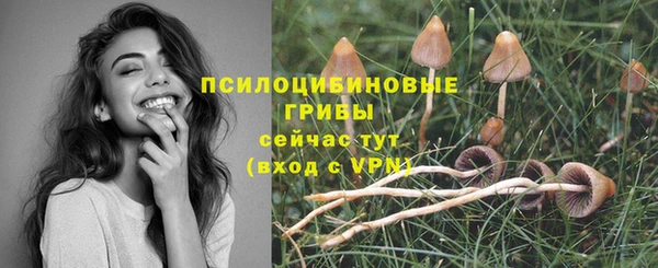 трава Аркадак