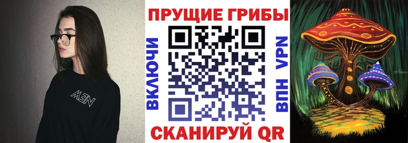 Псилоцибиновые грибы Psilocybine cubensis  площадка клад  Макушино  даркнет сайт 